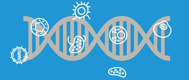 Illustration af DNA-streng