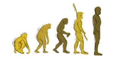 Illustration af evolution